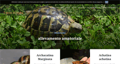 Desktop Screenshot of larcadinoha.it